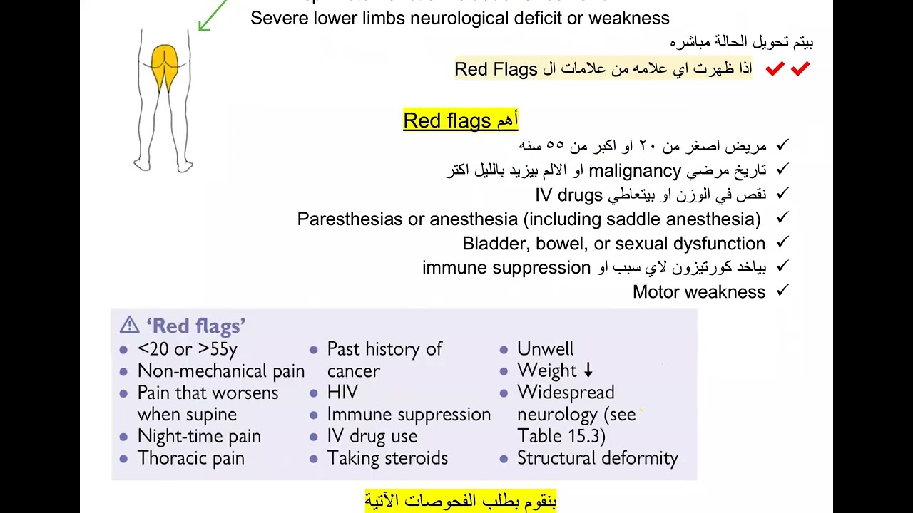 ,Red flags of low back pain,Low back pain DD د أيمن مرسى