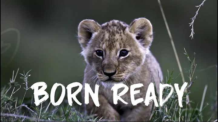 Jamie  Wilder / Raymon  Reed - Born Ready (Hip Hop...