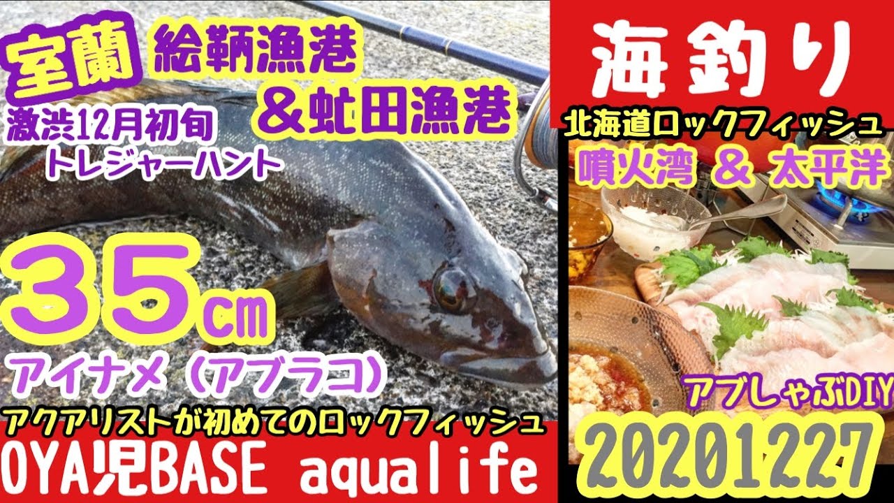 室蘭絵鞆漁港 虻田漁港 北海道ロックフィッシュ 12月初旬極寒の絵鞆漁港で執念のアイナメ アブラコ トレジャーハント ガレージライフ 釣り キャンプ アクアリウム1227 Youtube 室蘭絵鞆漁港 虻田漁港 北海道ロックフィッシュ 12月初旬極寒の絵鞆漁港で執念のアイナメ アブラコ トレジャーハント ガレージライフ 釣り キャンプ アクアリウム1227 Youtube
