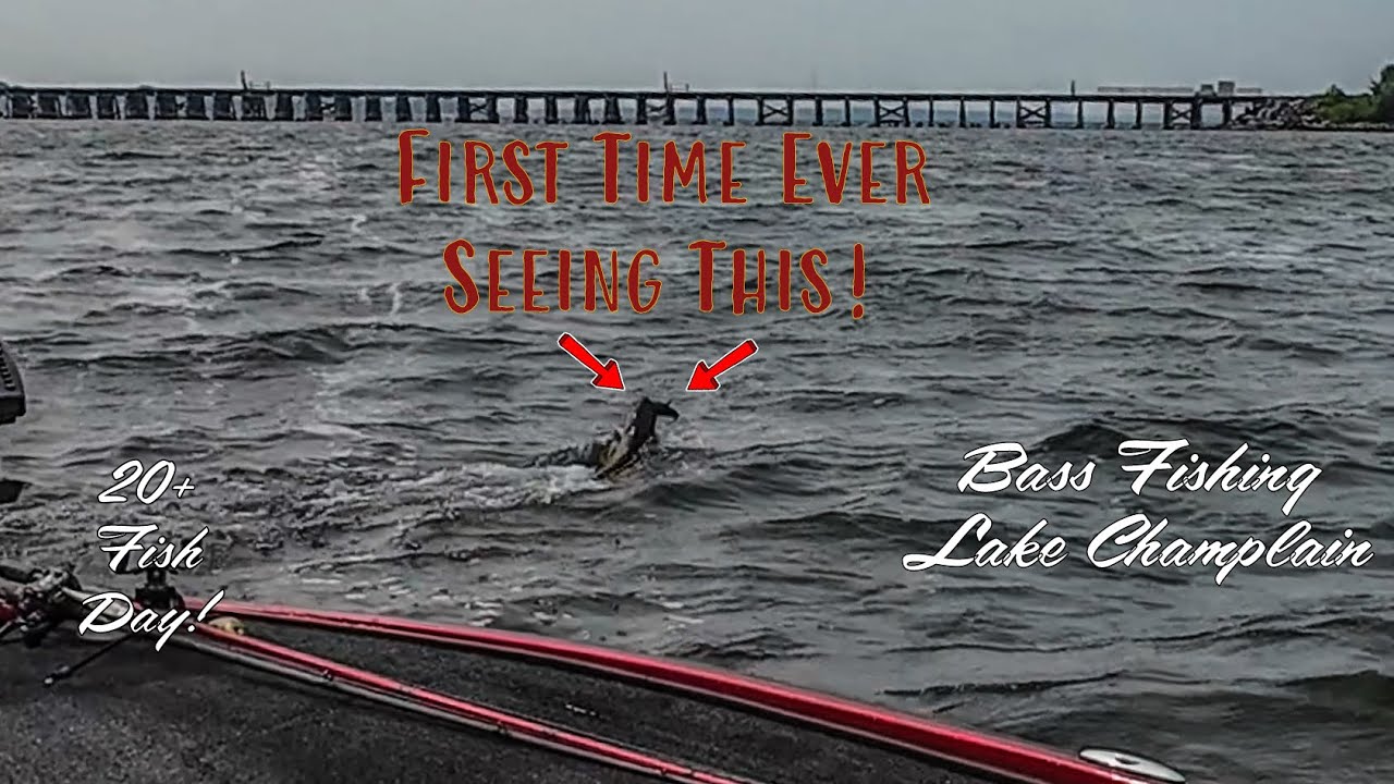 Epic Day Bass Fishing On Lake Champlain + A Close Encounter That Took Us By Surprise!