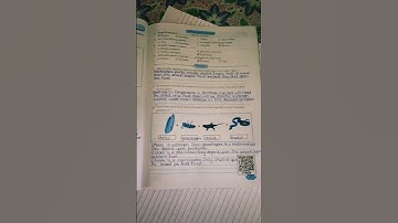 Science And Technology 9th std Experiment No-3 Part -2