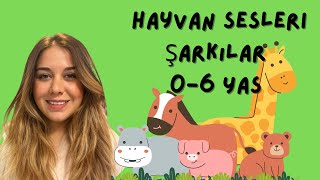 BU HANGİ HAYVAN? 🐶🎵 / Eğitici Çocuk Videosu/ Eğitici Çocuk Şarkıları