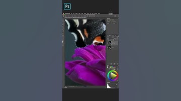 Photoshop how to add Glowing Effect on Butterfly - Speed Edit #Shorts