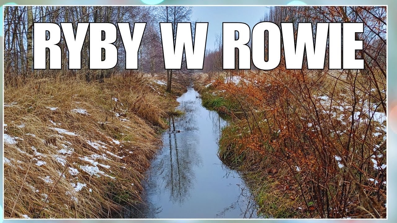 Czy złowię cokolwiek w Tak Małej Rzece? #wędkarstwo