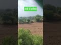 Garmi me barish 🌧️⛈️☔ #shortvideo #rain