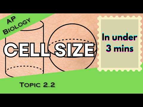 Cell Size in Under 3 mins (AP Biology Unit 2 Topic 2) 2.2