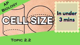 Cell Size in Under 3 mins (AP Biology Unit 2 Topic 2) 2.2