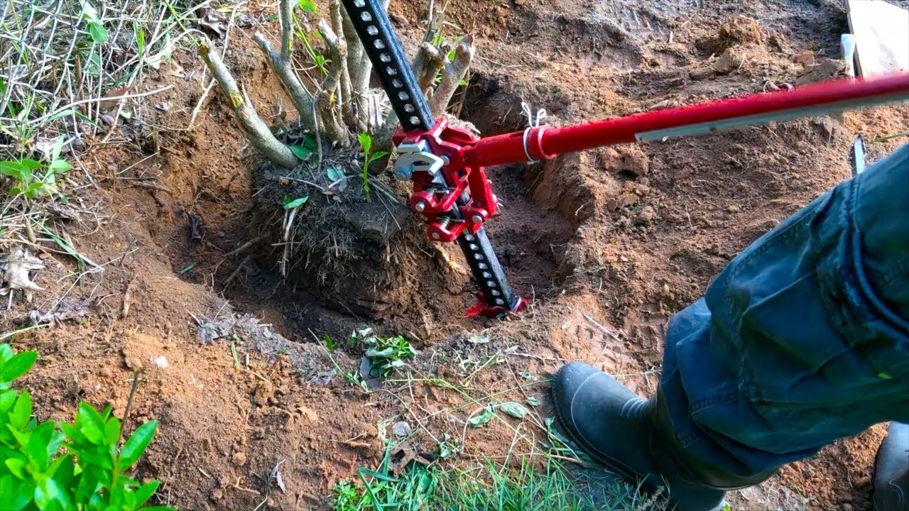 Extract Tree Roots Easily Using a Farm Jack | DIY Method