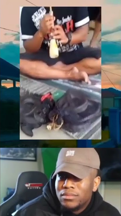 meme ukulele ngakak#asupanmeme #asupan#asupanngakak #ukulele #memengakak #meme #memes #short#savedev