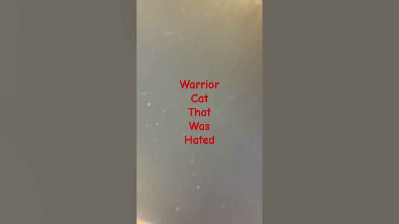 Warrior cat that was hated #music #song #love #warriorcatsultimateeditioncodes