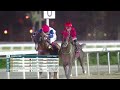RM 12  Al Rayyan Race 3 -  Doha Cup