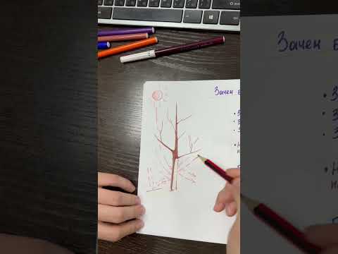 Зачем белить деревья? #сад #огород #дача #семенаалтая