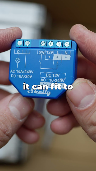 Shelly Plus 1 is the BEST Smart Relay For Your SMART HOME, Because...