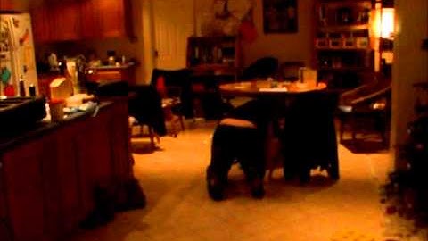 2009-January - Playing Fury of Dracula Boardgame interrupted by - a foul stench.wmv