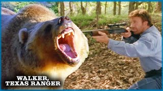 Walker & BLOOD-LUSTED Bear Take Down Money Launderers | Walker, Texas Ranger