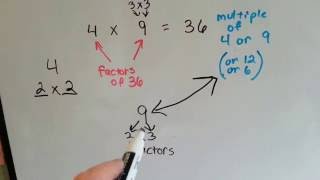 Grade 4 Math Chapter 5, What are Factors, What are Multiples