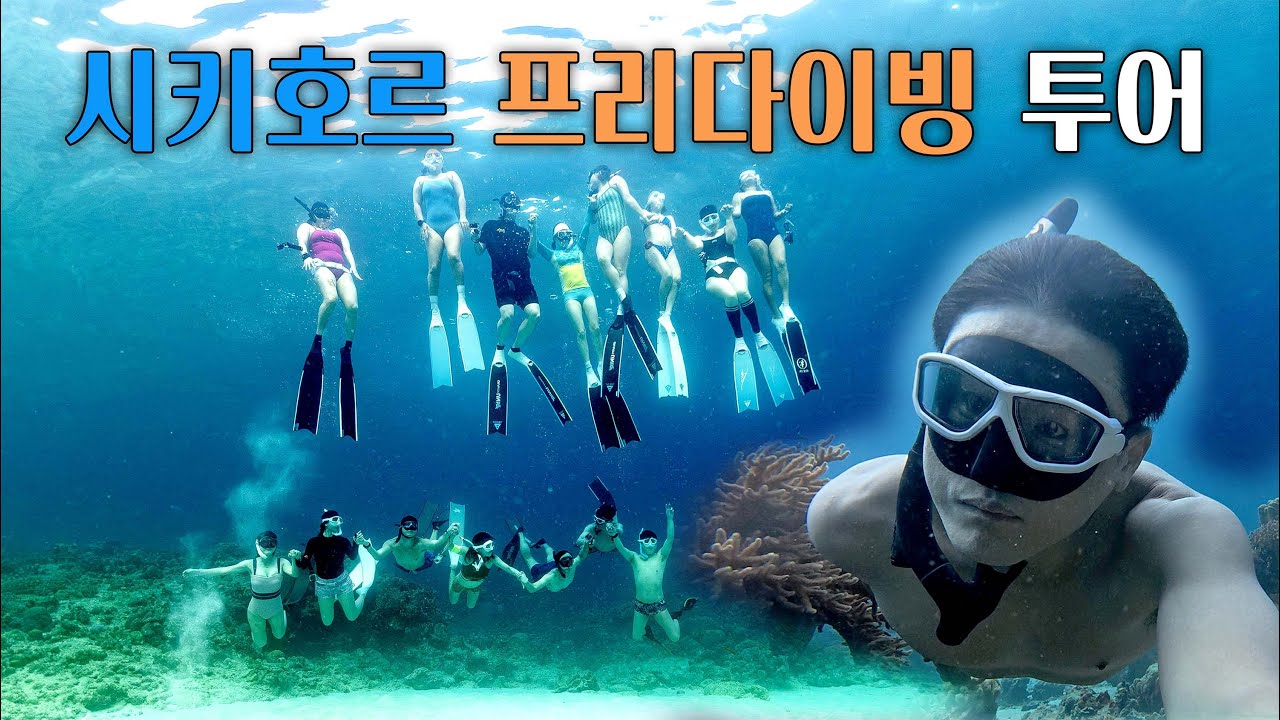 시키호르 프리다이빙 투어 - 필리핀 보홀 해외 프리다이빙 투