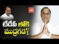 Mudragada Padmanabham Joining TDP? | CM Chandrababu | AP News | YSRCP | Janasena | YOYO TV Channel
