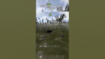 Sick of these dogs man 😭#rust #trending #rustconsole #rustclips #funny #gaming