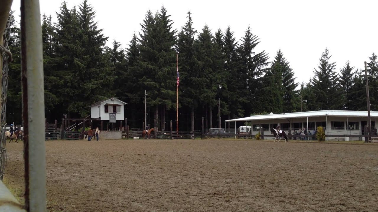 English Walk/Trot Memorial Day Horse Show 2013 YouTube