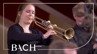 Bach - Easter Oratorio: Kommt, eilet und laufet BWV 249 - Van Veldhoven | Netherlands Bach Society