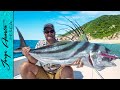 LA GALLIZA!!! ESPECTACULAR pesca de PEZ GALLO en PUERTO VALLARTA - con Snook Mafia