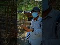 “जनगणना करने गए थे… जंगल वालों ने ही गिन लिया हमें 😂” #funny #life #comedyvideo #viral #vlog