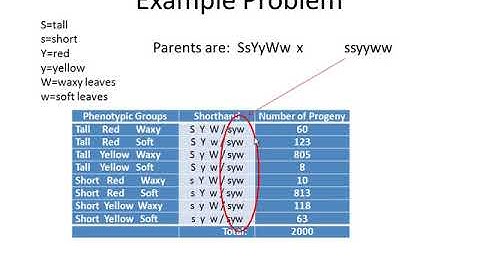 Genetics Tutorial Determining Gene Order for 3 point linkage mapping