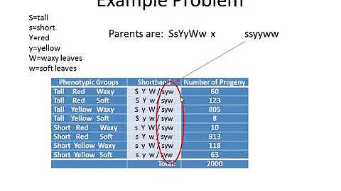 Genetics Tutorial Determining Gene Order for 3 poi...