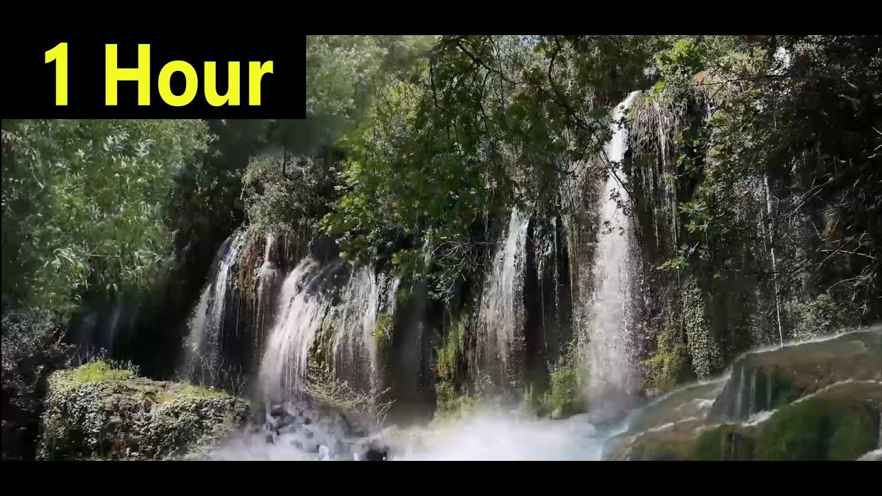 Waterfall | Background Ambience - Clear Your Mind With Nature | 1 Hour