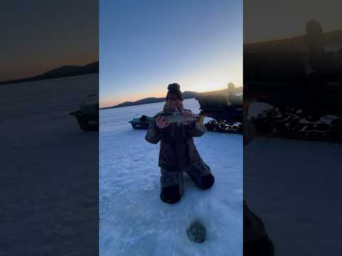 Great last fish