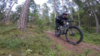 Riding Trek Fuel EX 8 - 2018