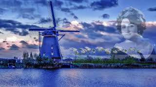 Muazzez Türüng-Değirmen Üstü Çiçek