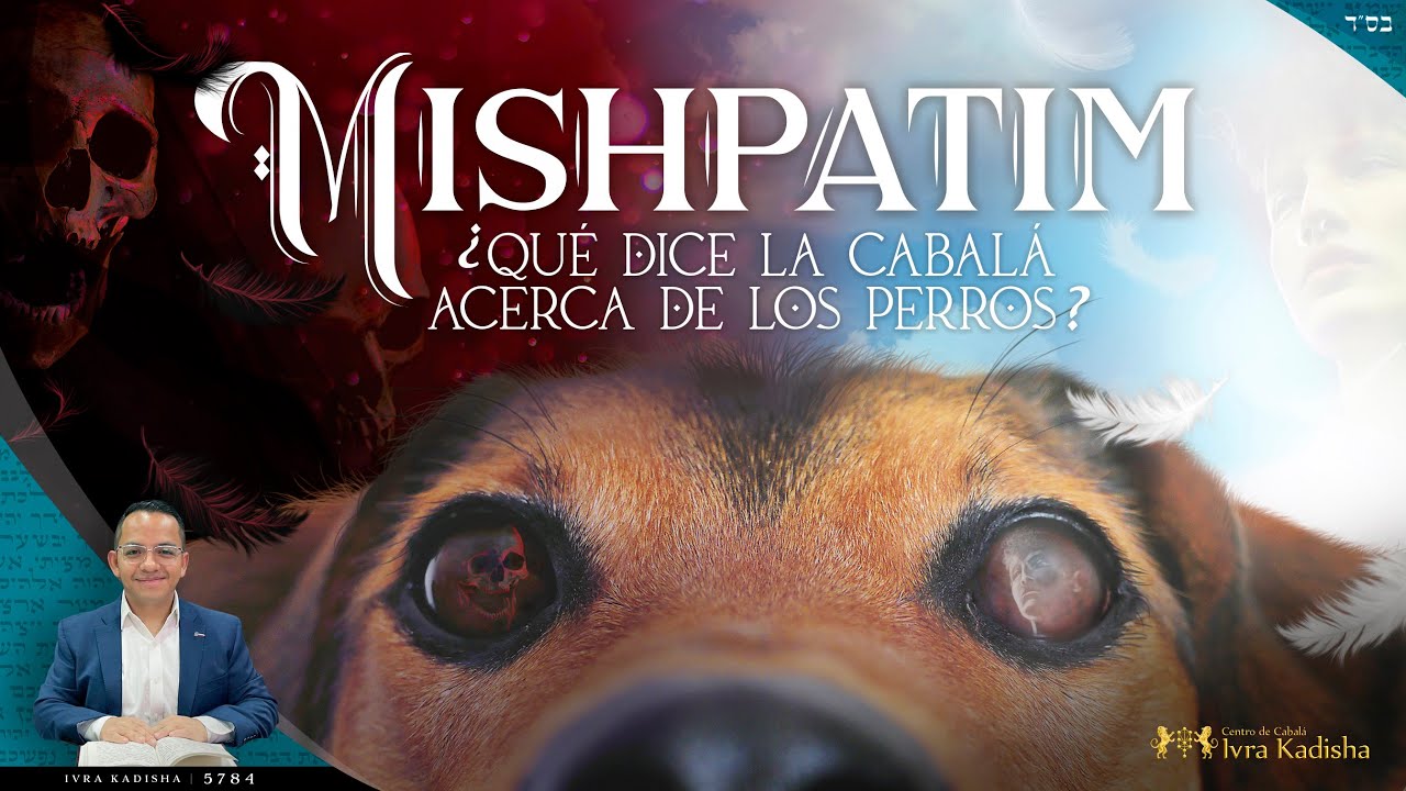 MISHPATIM - ¿Qué dice la CABALÁ acerca de los PERROS?