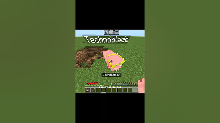 Minecraft TechnoBlade 😳💀
