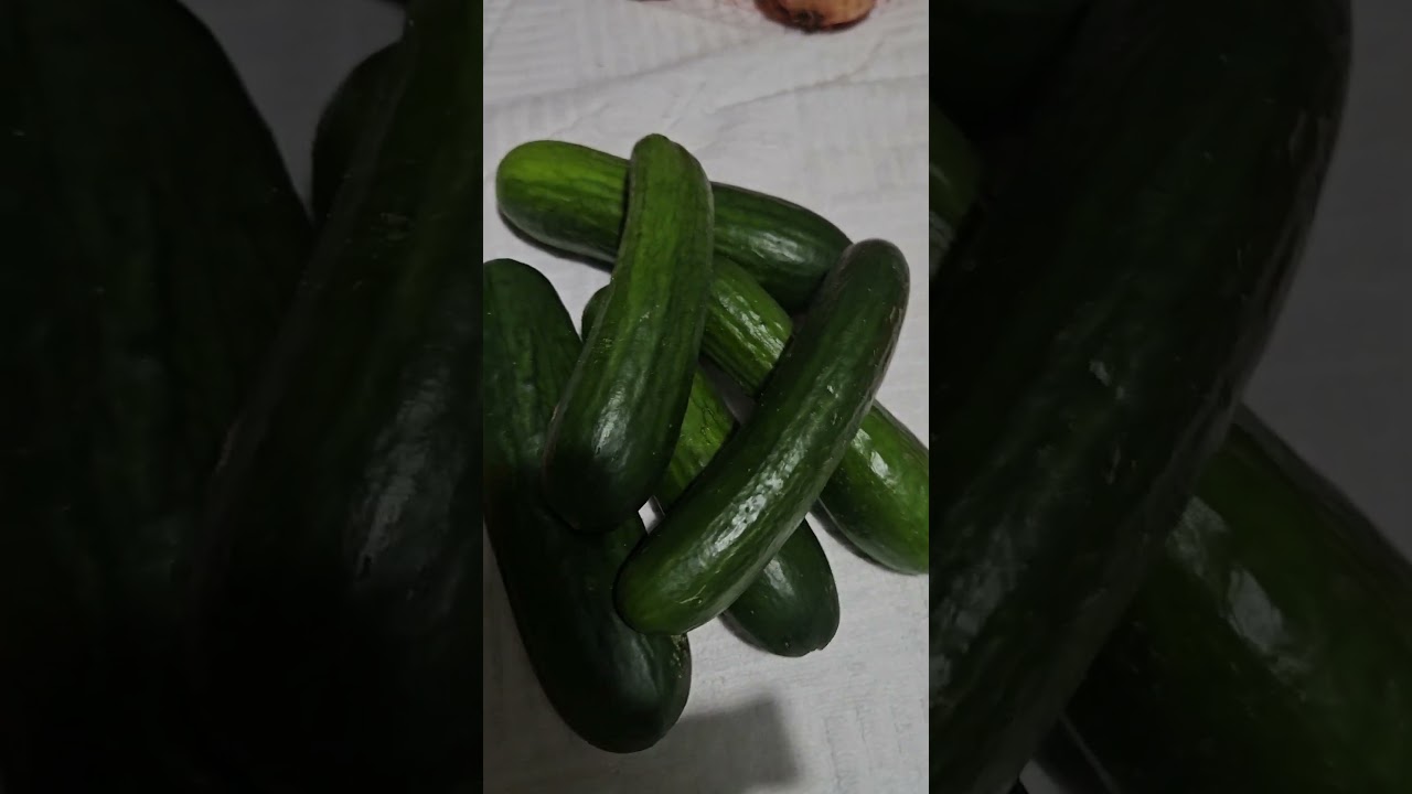 Odd Bunch first order unboxing - 