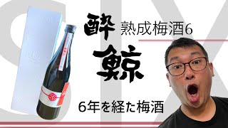 【SIX】おいしい梅酒買ったのでご紹介します