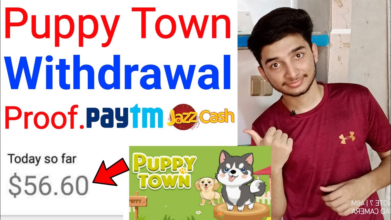 puppy town