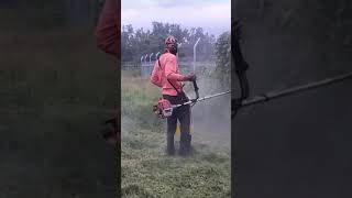 Gr Cutting, Around Solar Panels