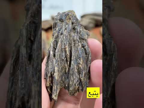 معنى تصنيفات العود