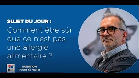 Quelle nourriture pour un chien allergique à la viande ?