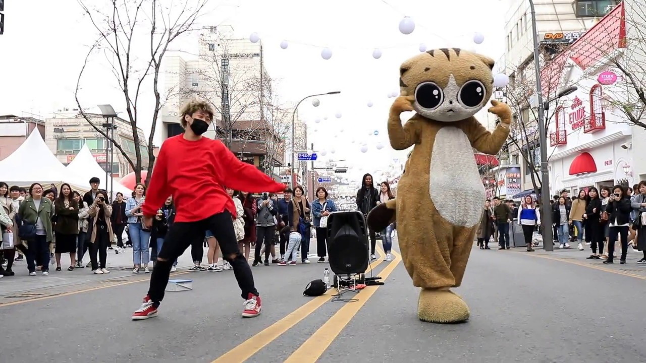 JHKTV]신촌명물고양이 & 디오비 shin chon k-pop dance dob(다른버전)TT
