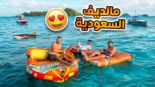 تحدي الألعاب البحرية والسباحة في جزيرة جريد🏝️