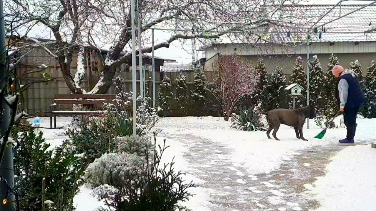 ЗИМОВА КАЗКА В МАЛЕНЬКОМУ СЕЛІ. АРОМАТ ВИПІЧКИ В БУДИНКУ. 