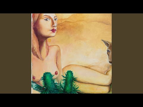Wolf Eyes — Catching the Rich Train