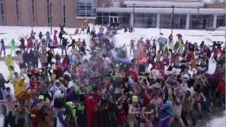 Harlem Shake STOUT (Original)