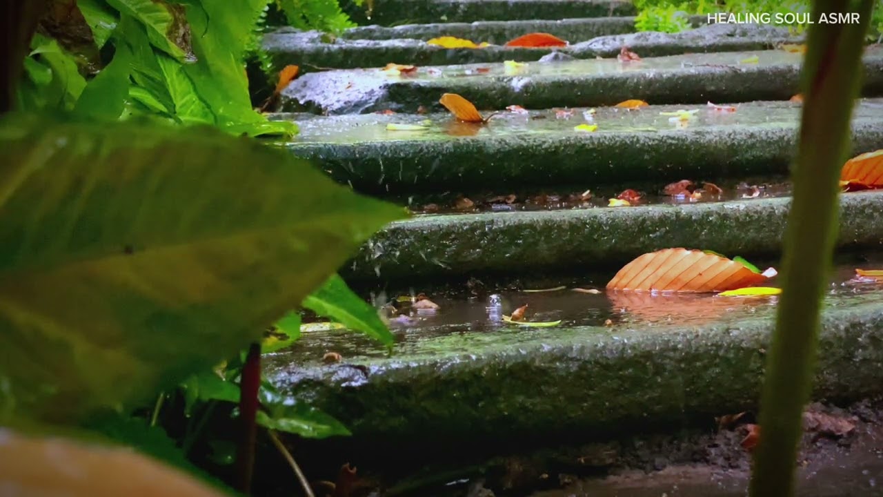 The sound of rain sublimes on the old mossy stone steps! Relaxing sounds from the most rustic nature