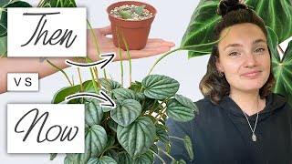 Crazy Growth Updates 🌱 THEN vs NOW House Plant Edition