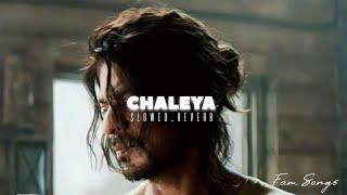 CHALEYA - Arijit Singh Slowed And Reverb Lofi Mix