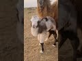 You Re Really Unique And Adorable 